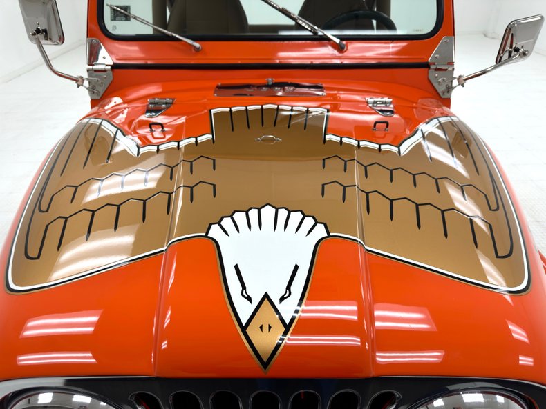 American-motors-Other-1979-Orange-Tan-12