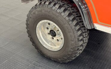 American-motors-Other-1979-Orange-Tan-16