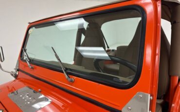 American-motors-Other-1979-Orange-Tan-19