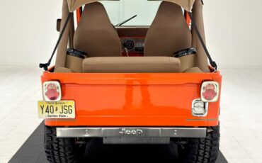 American-motors-Other-1979-Orange-Tan-2