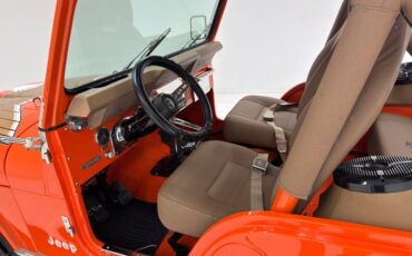 American-motors-Other-1979-Orange-Tan-27