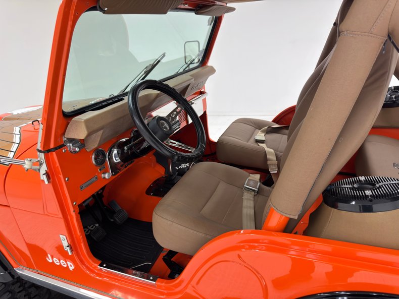 American-motors-Other-1979-Orange-Tan-27