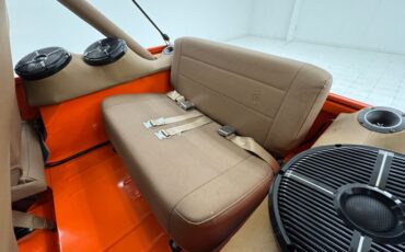 American-motors-Other-1979-Orange-Tan-28