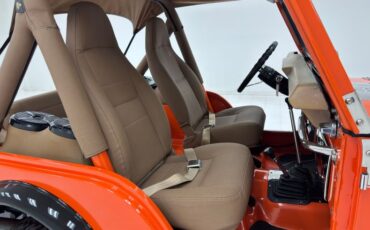 American-motors-Other-1979-Orange-Tan-29