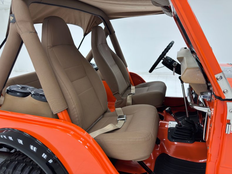 American-motors-Other-1979-Orange-Tan-29