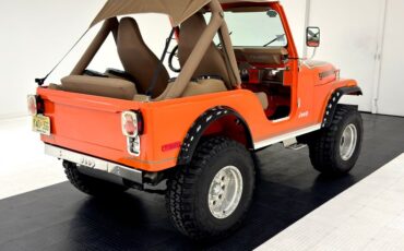 American-motors-Other-1979-Orange-Tan-3