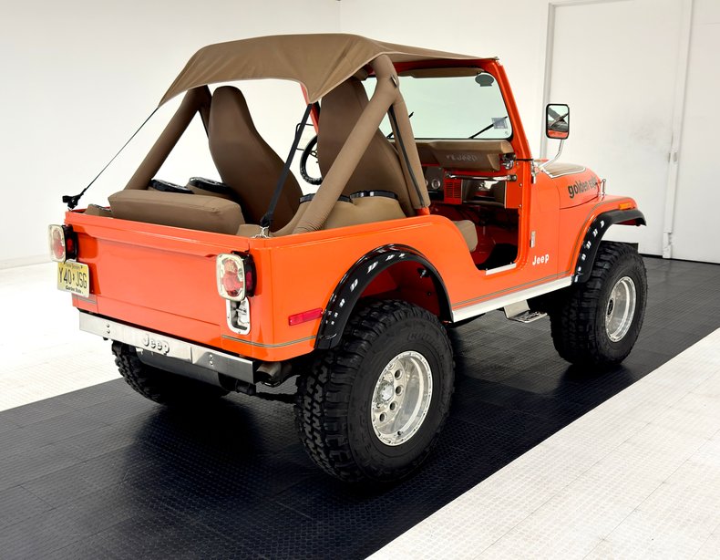 American-motors-Other-1979-Orange-Tan-3