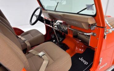 American-motors-Other-1979-Orange-Tan-30