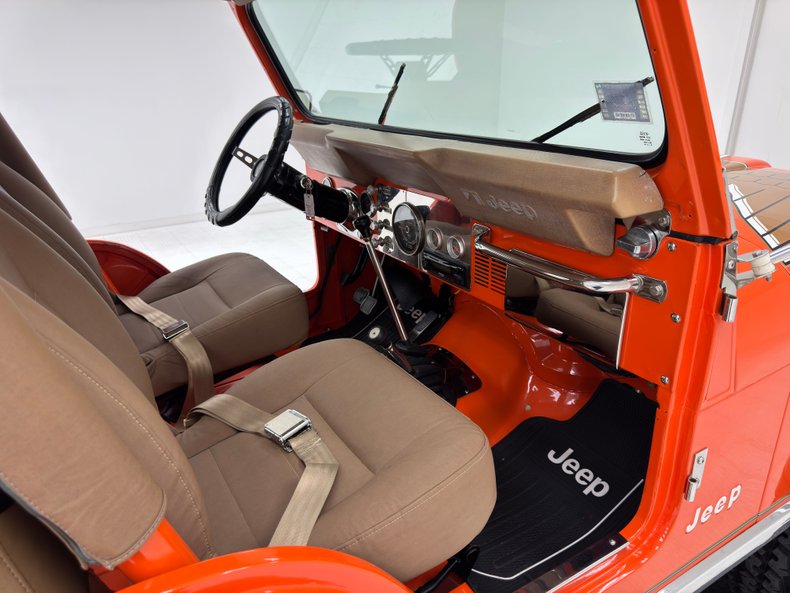American-motors-Other-1979-Orange-Tan-30