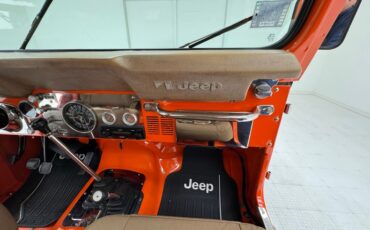 American-motors-Other-1979-Orange-Tan-34