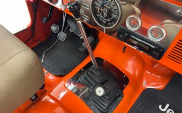 American-motors-Other-1979-Orange-Tan-35