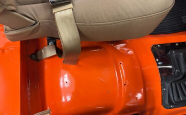 American-motors-Other-1979-Orange-Tan-36