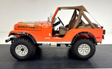 American-motors-Other-1979-Orange-Tan