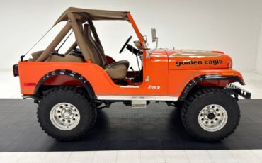 American-motors-Other-1979-Orange-Tan-4