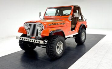 American-motors-Other-1979-Orange-Tan-44