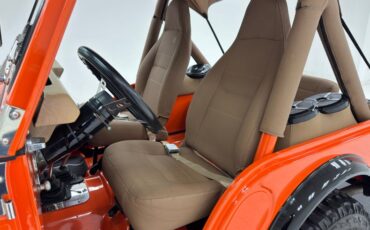 American-motors-Other-1979-Orange-Tan-5