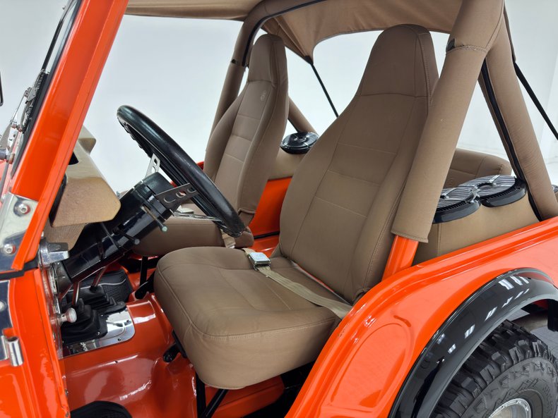 American-motors-Other-1979-Orange-Tan-5