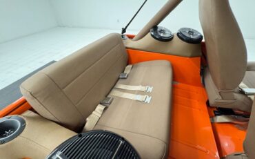 American-motors-Other-1979-Orange-Tan-6
