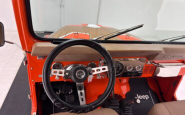 American-motors-Other-1979-Orange-Tan-9