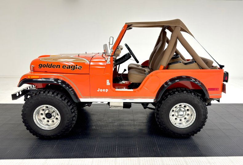 American-motors-Other-1979-Orange-Tan