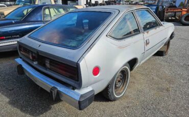 American-motors-Spirit-1980-Silver-Red-4