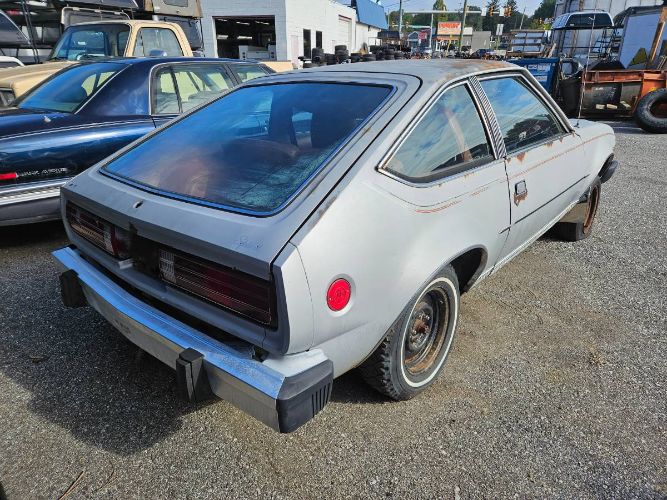 American-motors-Spirit-1980-Silver-Red-4
