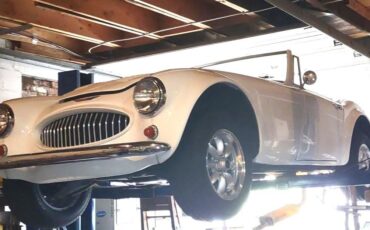 Austin-Haley-Replica-3000-1987-Spider-1