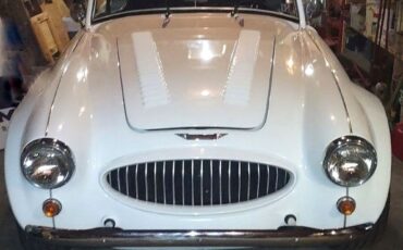 Austin-Haley-Replica-3000-1987-Spider-3