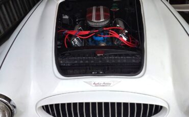 Austin-Haley-Replica-3000-1987-Spider-4