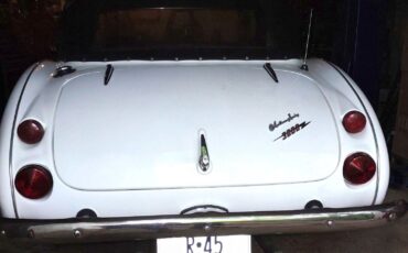 Austin-Haley-Replica-3000-1987-Spider-5