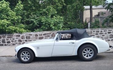 Austin-Haley-Replica-3000-1987-Spider-9