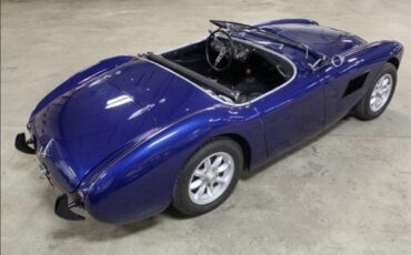 Austin-Healey-100-1956-12