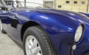 Austin-Healey-100-1956-15