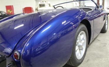 Austin-Healey-100-1956-16