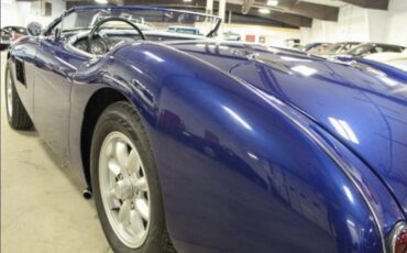 Austin-Healey-100-1956-17