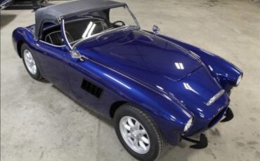 Austin-Healey-100-1956-32