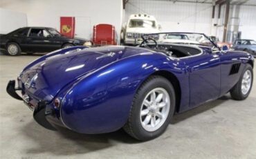 Austin-Healey-100-1956-4