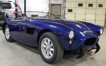 Austin-Healey-100-1956-6