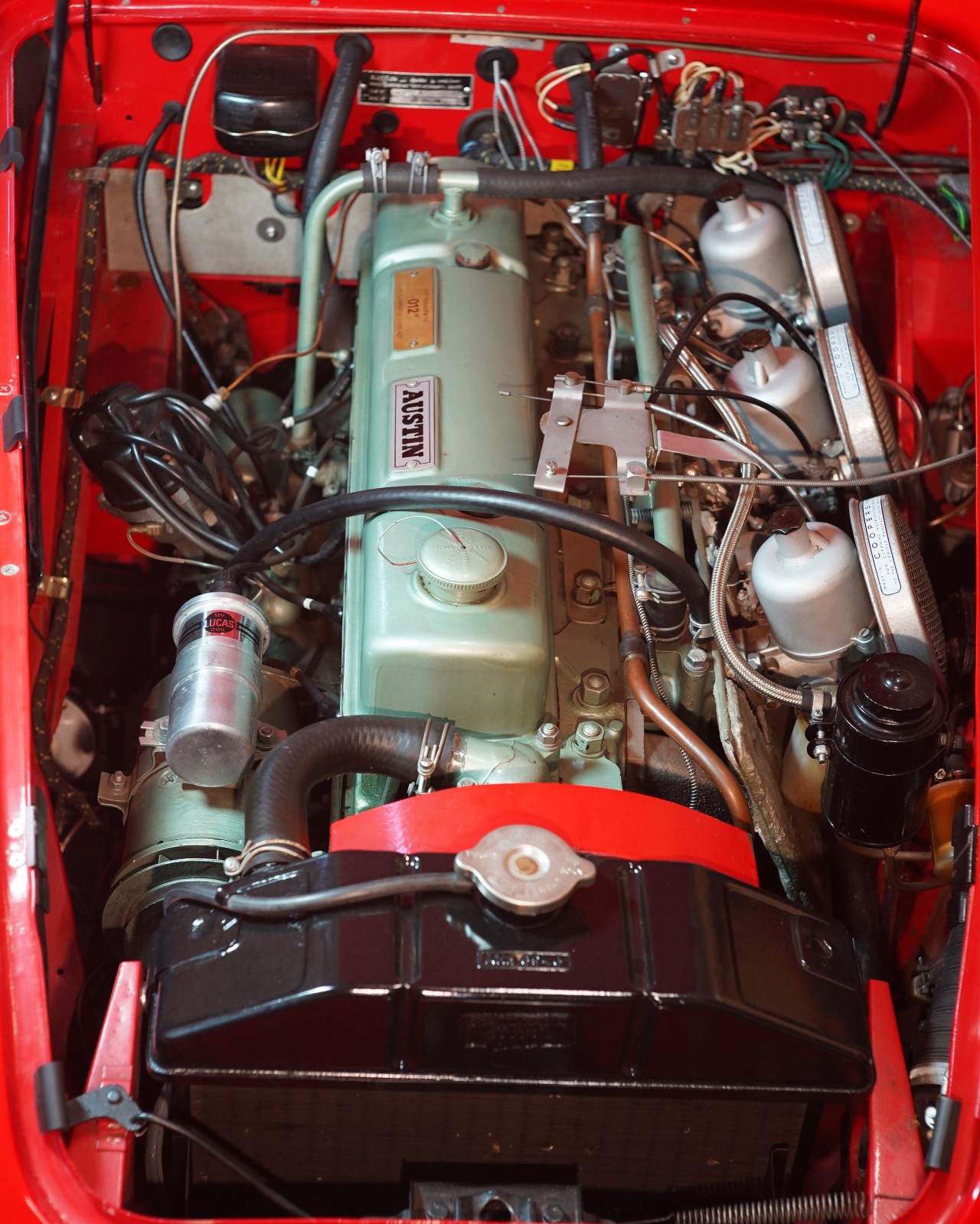 Austin-Healey-3000-1962-Convertible-15