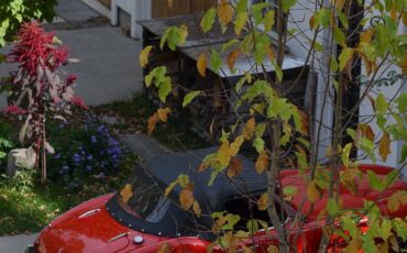 Austin-Healey-3000-1962-Convertible-22