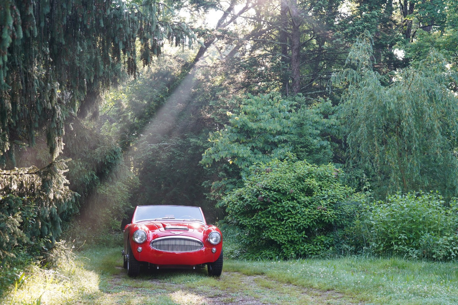Austin-Healey-3000-1962-Convertible-4