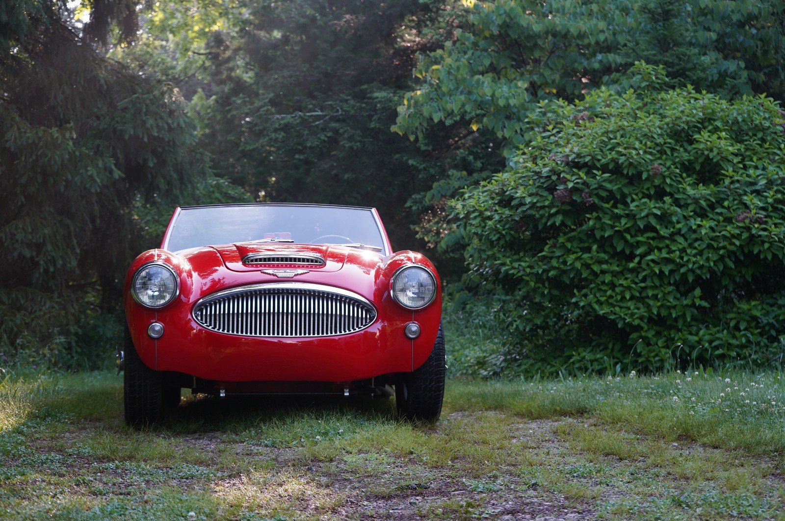Austin-Healey-3000-1962-Convertible-5