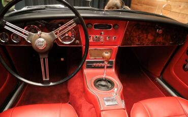 Austin-Healey-3000-1965-22