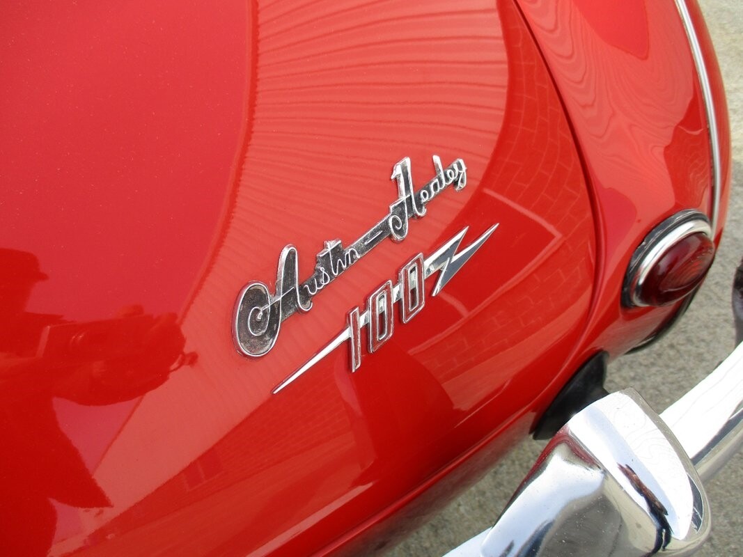 Austin-Healey-BN2-100M-Tribute-1956-32