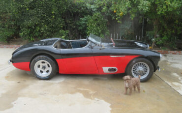 Austin-Healey-Other-1954-Convertible-1