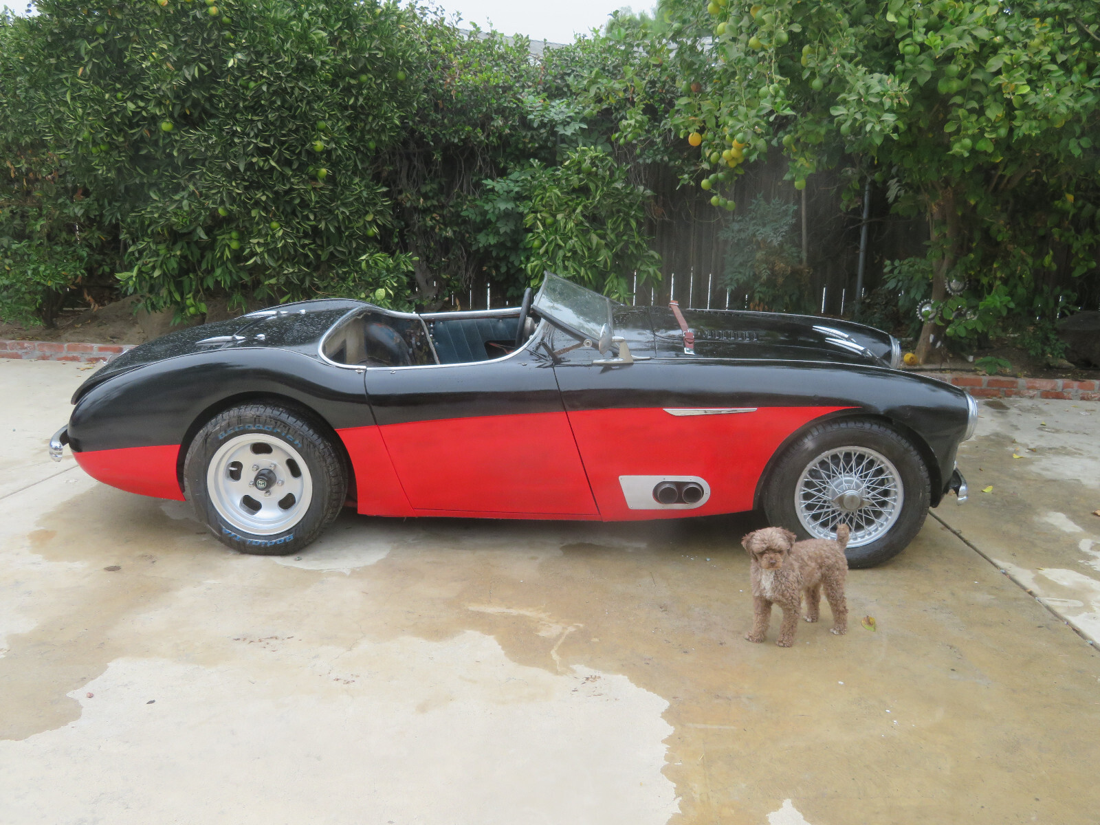 Austin-Healey-Other-1954-Convertible-1