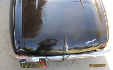 Austin-Healey-Other-1954-Convertible-3