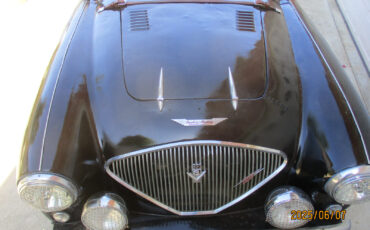 Austin-Healey-Other-1954-Convertible-4