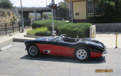 Austin Healey Other 1954