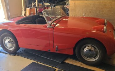 Austin-Healey-Other-1959-Convertible-8